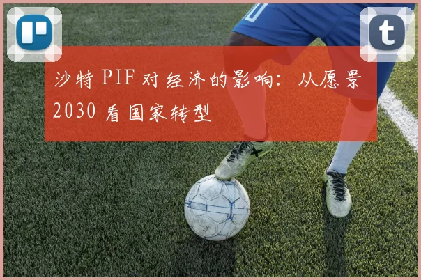 沙特 PIF 对经济的影响:从愿景 2030 看国家转型