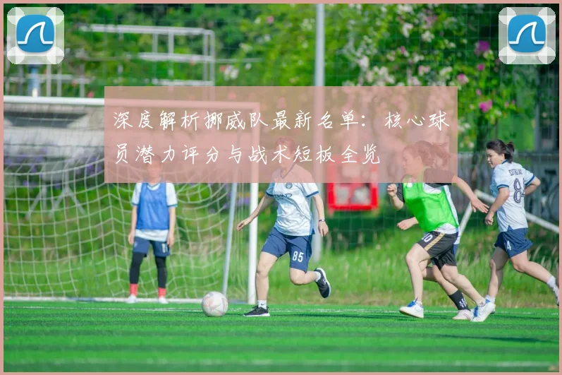深度解析挪威队最新名单:核心球员潜力评分与战术短板全览