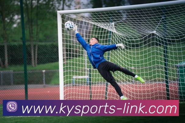 赛事专题整合